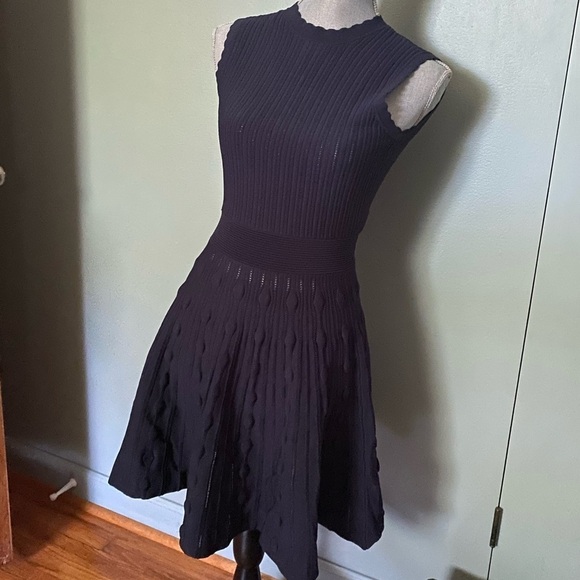 Ted Baker Dresses & Skirts - Ted Baker navy dress size small / extra small
